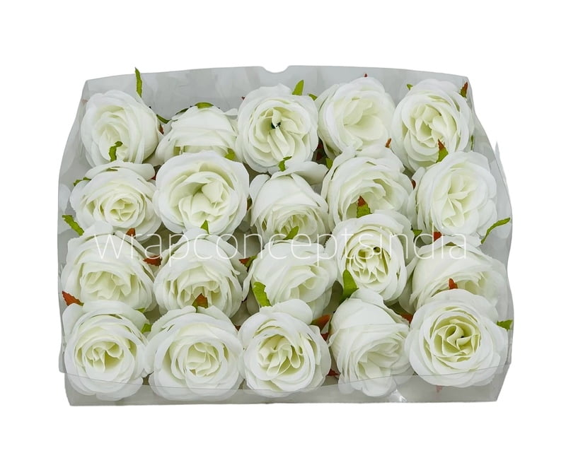 Cotton Peony