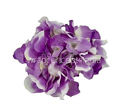 Hydrangeas - Dark Purple & White Hydrangeas - Dark Purple & White