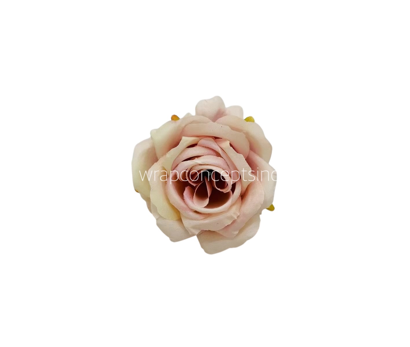 Rose - Nude with Blush Rose - Nude with Blush