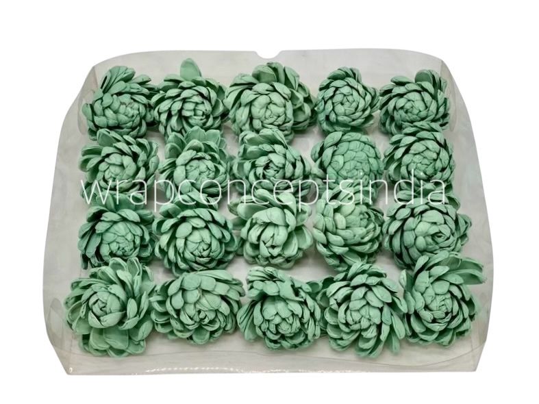 Seafoam Sola Wood Lillian Seafoam Sola Wood Lillian