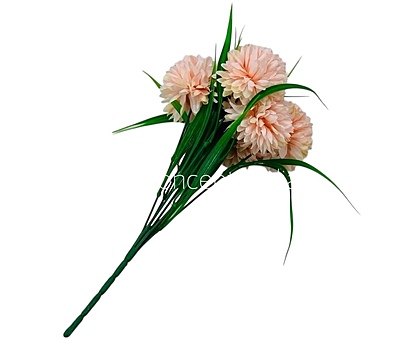 Carnation Bunch - Mullticolour Carnation Bunch - Mullticolour