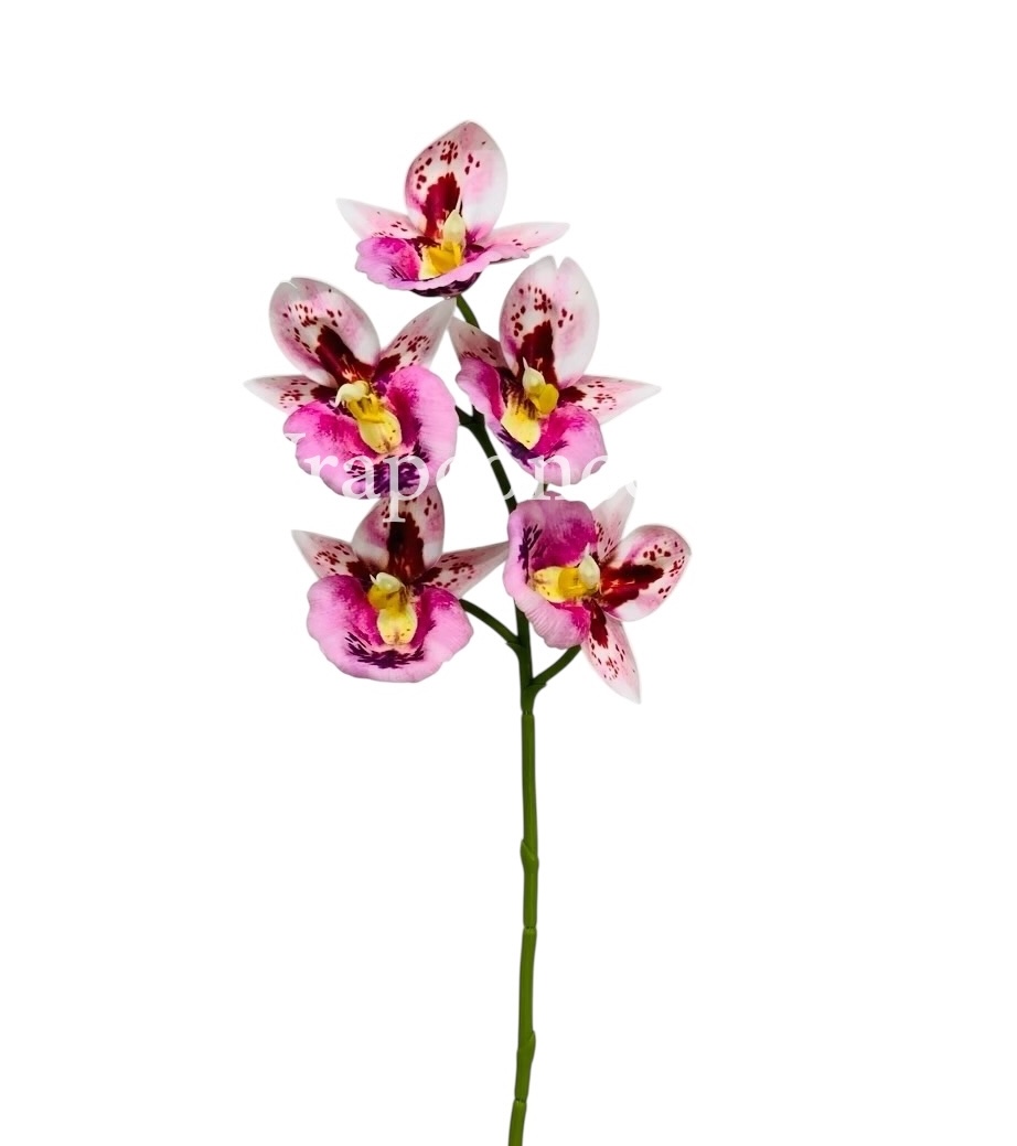 Orchid Sticks - Multicolor