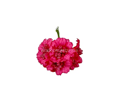 Fuchsia Flowers with Fuchsia Pollens Fuchsia Flowers with Fuchsia Pollens