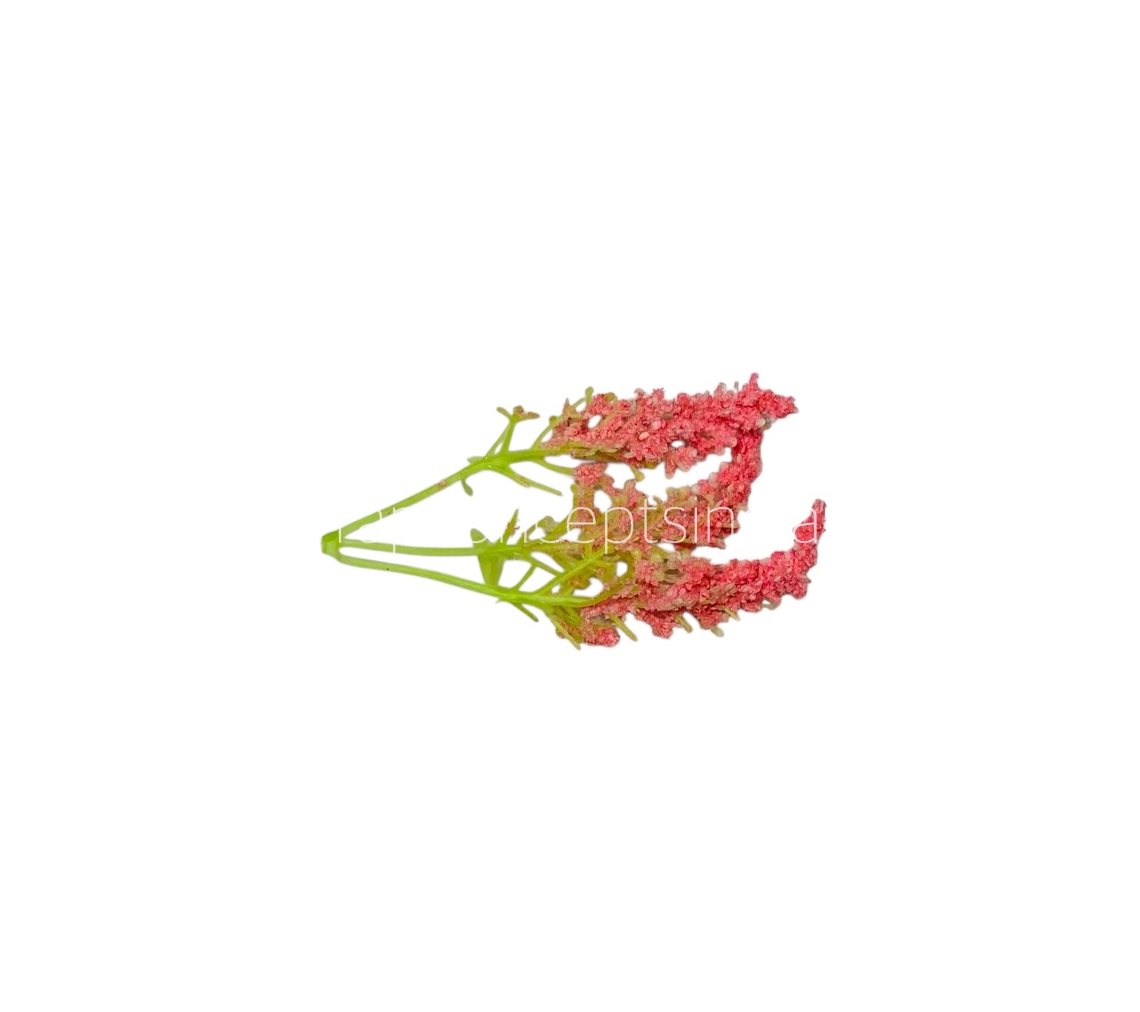 Trio Frosted Fern Leaves - Flamingo Trio Frosted Fern Leaves - Flamingo