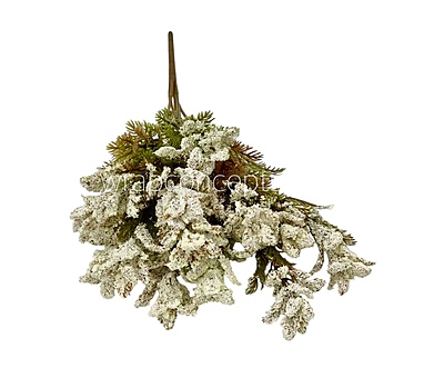Frosted Wildflower Bush