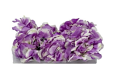Hydrangeas - Dark Purple & White Hydrangeas - Dark Purple & White