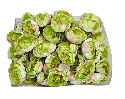 Barbie Pink Peonies Barbie Pink Peonies