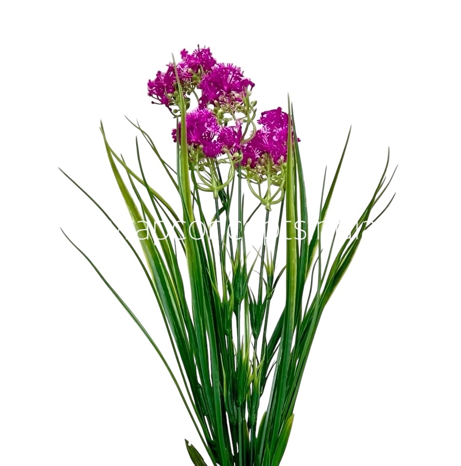 Long Grass Leaves with Magenta Flowers Long Grass Leaves with Magenta Flowers