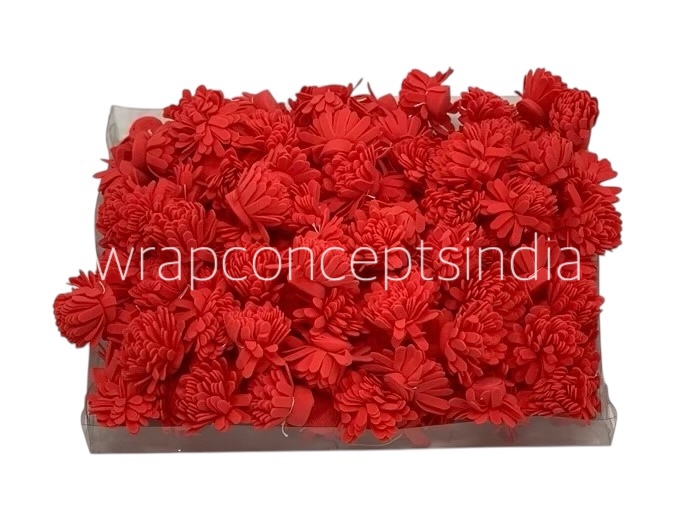 Red Foam Carnation Red Foam Carnation
