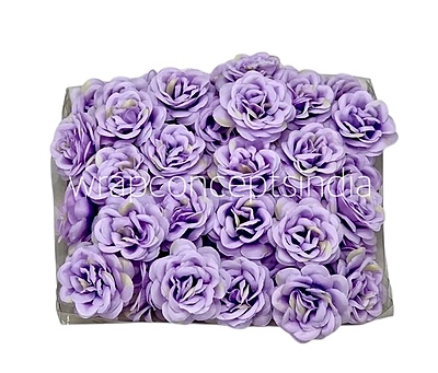 Mauve Shrub Rose