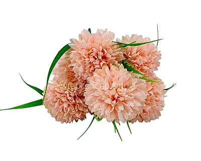Carnation Bunch - Mullticolour Carnation Bunch - Mullticolour