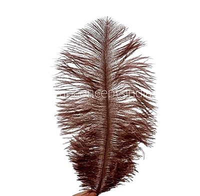 Faux Feather Rounded Edges Faux Feather Rounded Edges