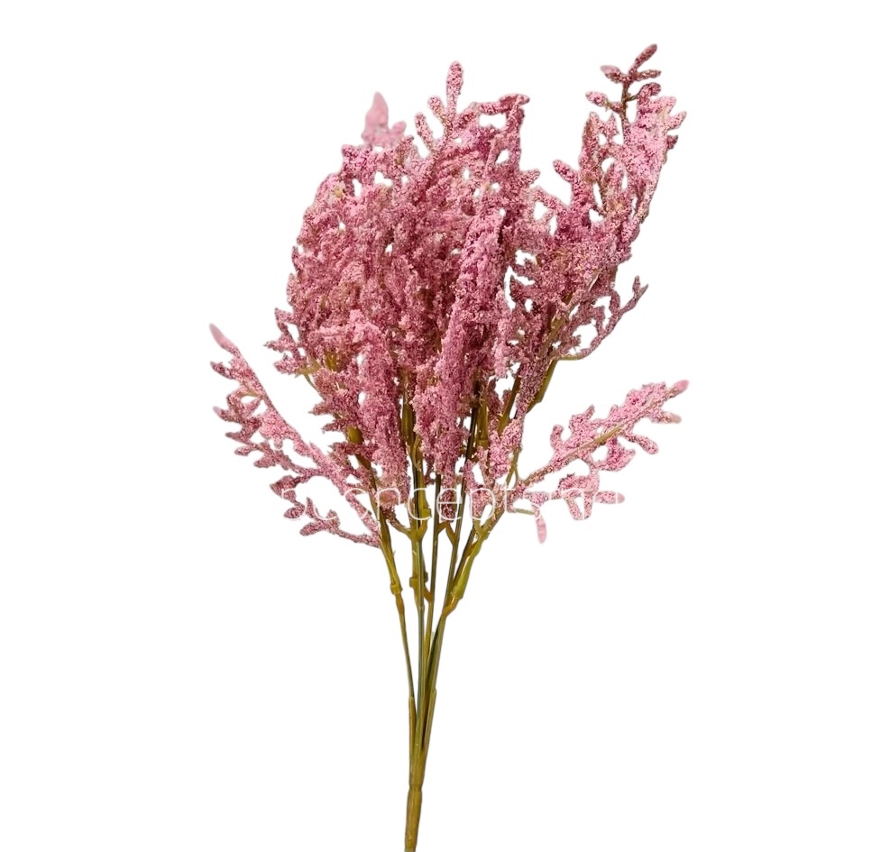 Frosted Coral Fern Bunch Frosted Coral Fern Bunch