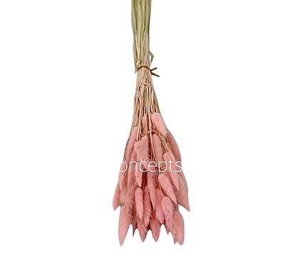 Preserved Bunny Tails