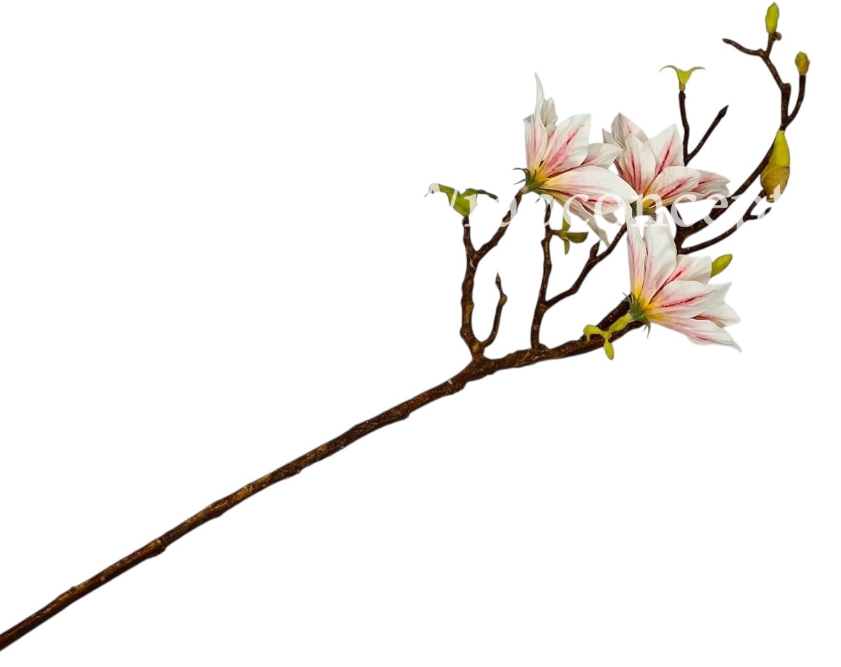Copy of Orchid Sticks - Multicolor Copy of Orchid Sticks - Multicolor