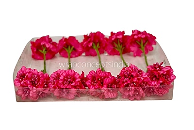 Fuchsia Flowers with Fuchsia Pollens Fuchsia Flowers with Fuchsia Pollens