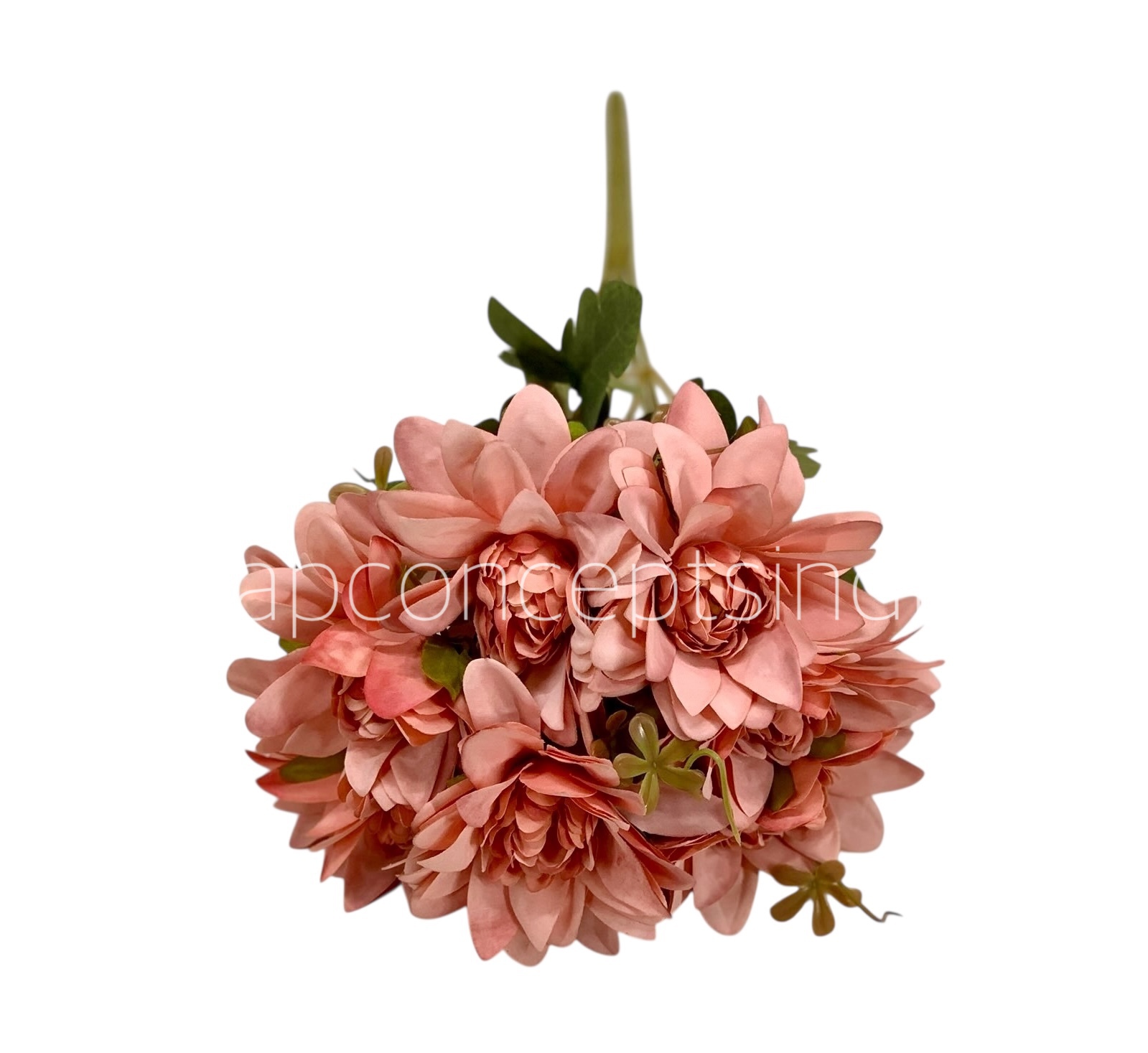 Dahlia Bunch with Leaves