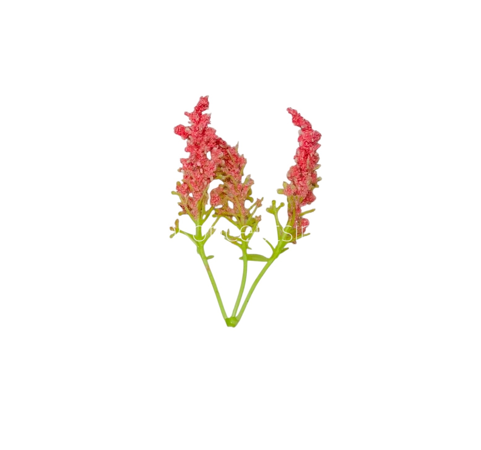 Trio Frosted Fern Leaves - Flamingo Trio Frosted Fern Leaves - Flamingo