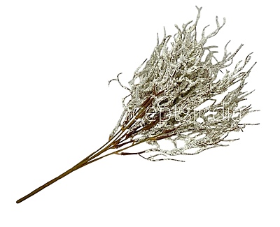 Frosted Willow Spray