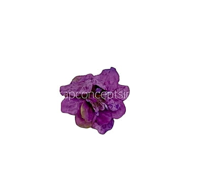 Orchid Textured Petunias