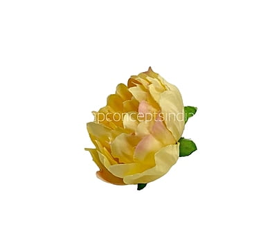 Buttercup with Peach Open Peony Buttercup with Peach Open Peony