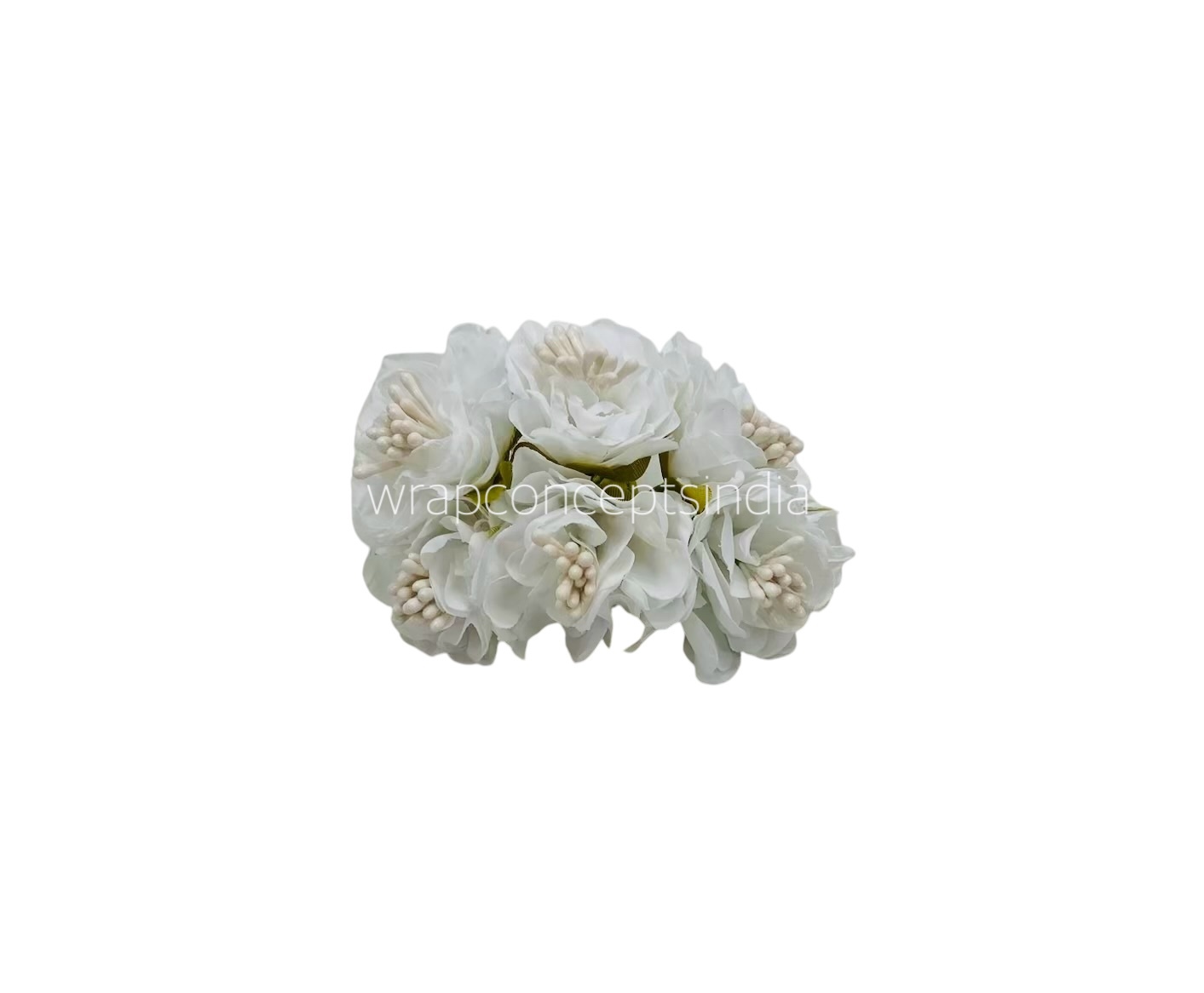 White Windflower White Windflower