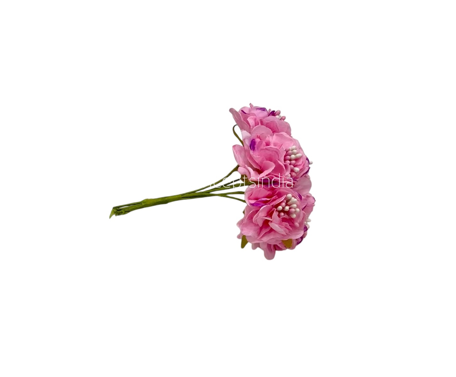 Soft Pink Windflower Soft Pink Windflower