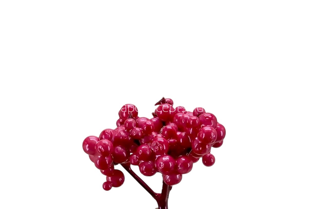 Fuchsia Fern Small Fuchsia Fern Small