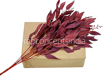 Leaves Stick Bunch - Ivory-AntiqueWhite Leaves Stick Bunch - Ivory-AntiqueWhite