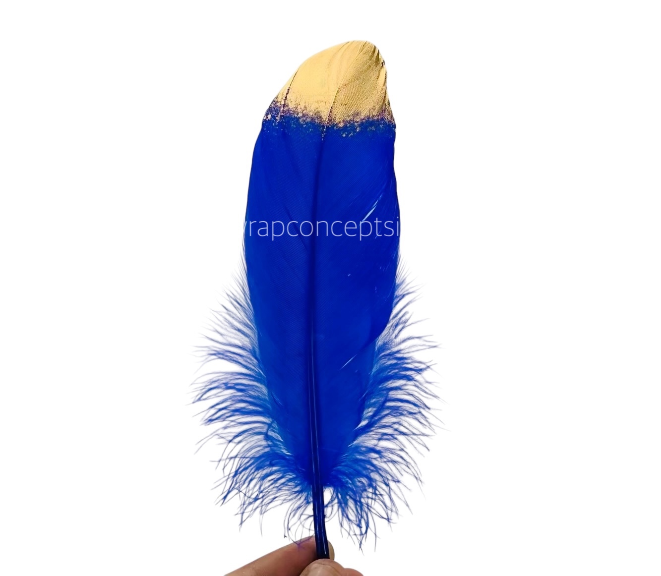 Faux Feather with Gold Edges Faux Feather with Gold Edges