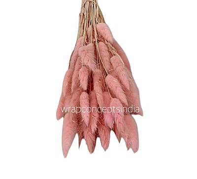 Preserved Bunny Tails