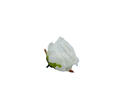 Cotton Peony