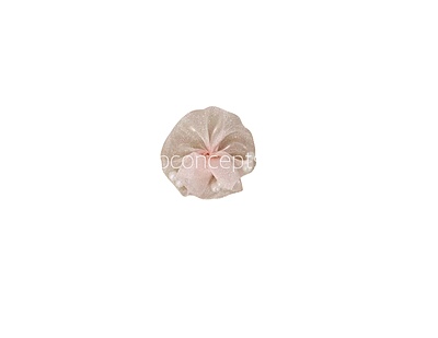 Peach Organza Flowers with Pearls Peach Organza Flowers with Pearls