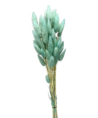Preserved Bunny Tails