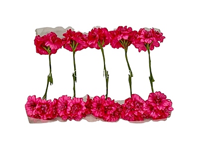 Fuchsia Flowers with Fuchsia Pollens Fuchsia Flowers with Fuchsia Pollens