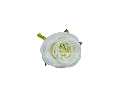 Cotton Peony