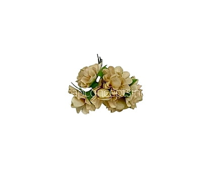 Sand Aubrieta Flower