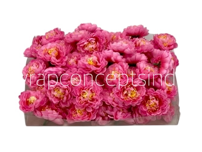 Candy Pink Small Dahlias Candy Pink Small Dahlias