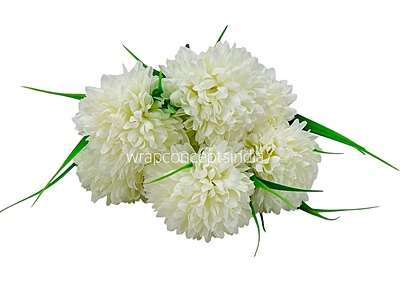 Carnation Bunch - Mullticolour Carnation Bunch - Mullticolour