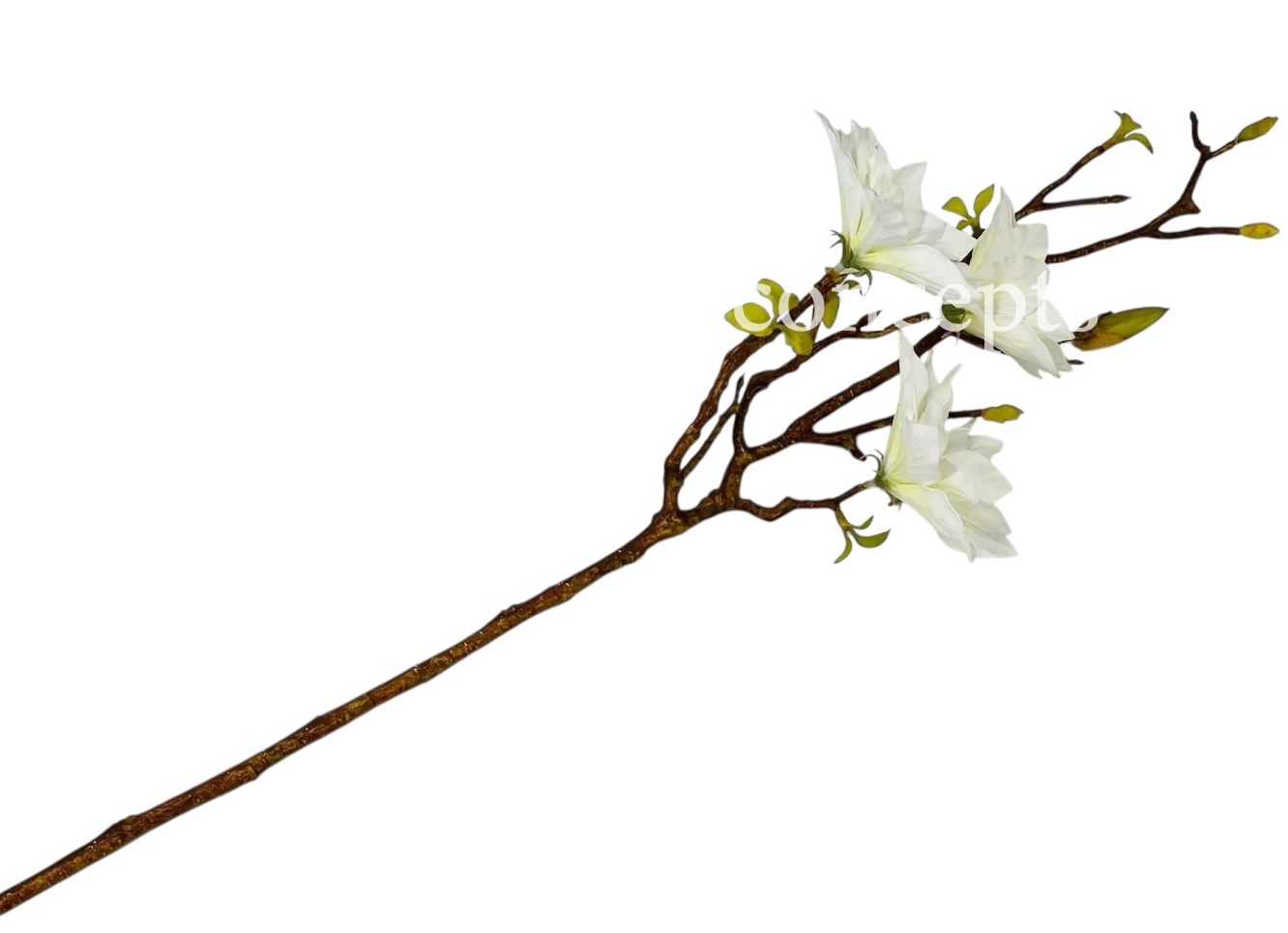 Copy of Orchid Sticks - Multicolor Copy of Orchid Sticks - Multicolor