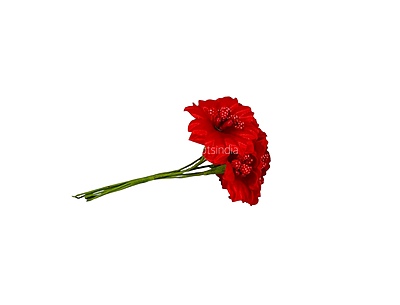 Red Flowers with Red Pollens