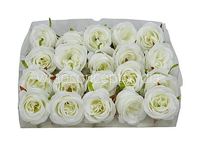 Cotton Peony