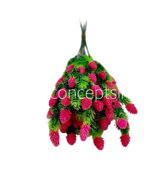 Leaves Bunch with Pink Conifers Leaves Bunch with Pink Conifers