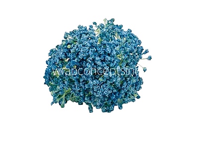 Baby Breath's Bunch