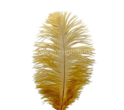 Faux Feather Rounded Edges Faux Feather Rounded Edges