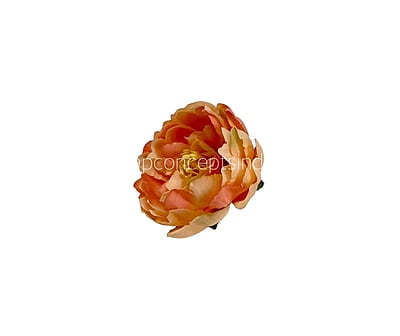 Peach Peonies Peach Peonies
