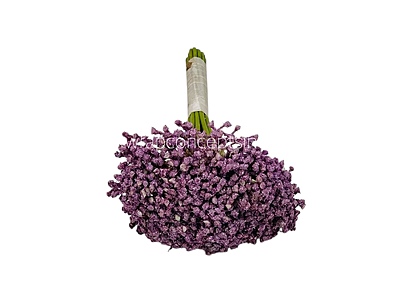 Baby Breath's Bunch