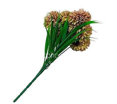Carnation Bunch - Mullticolour Carnation Bunch - Mullticolour