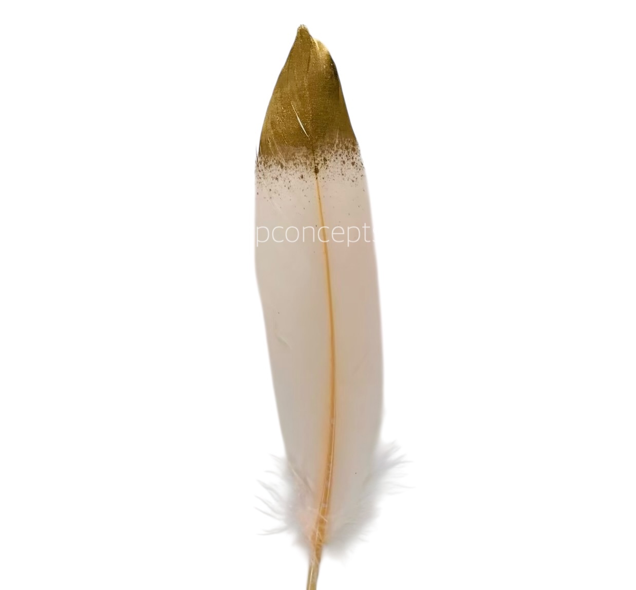 Faux Feather with Gold Edges Faux Feather with Gold Edges