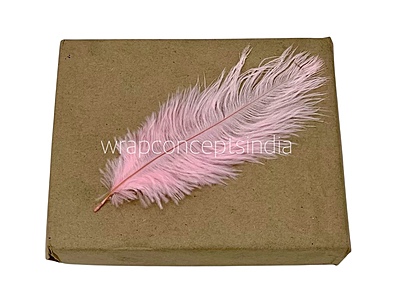 Faux Feather Rounded Edges Faux Feather Rounded Edges